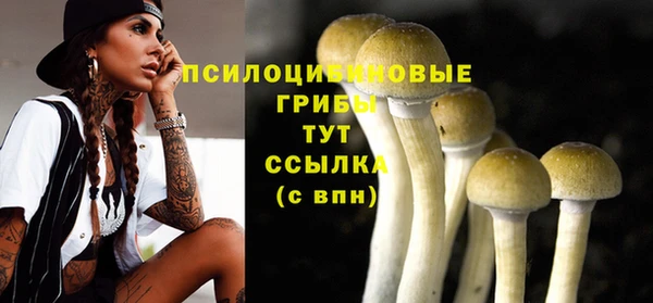 jwh Володарск