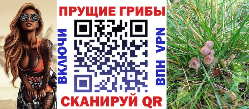 Псилоцибиновые грибы мицелий  Изобильный 